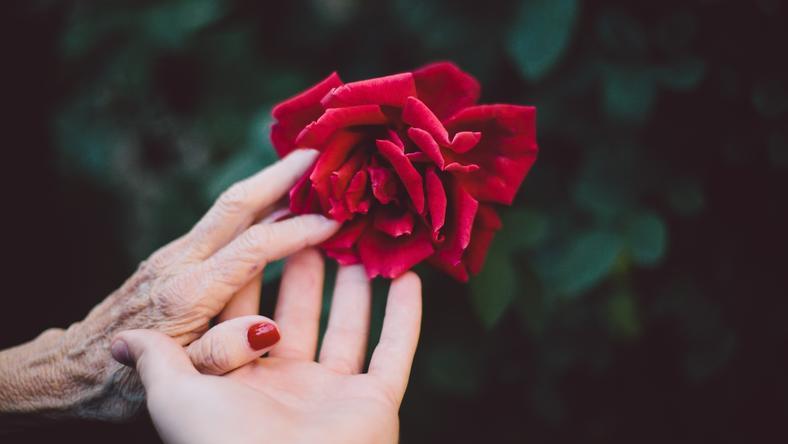 走向生命尽头:临终关怀医院里的30000名老人